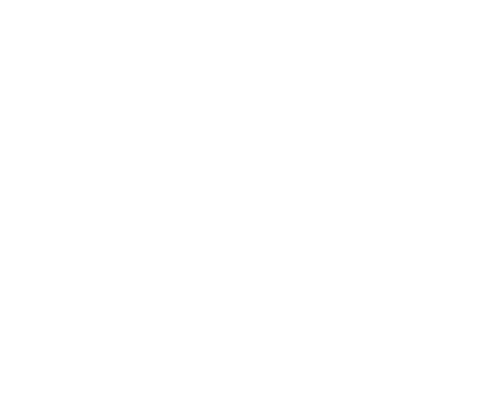 Smith Logo Script White